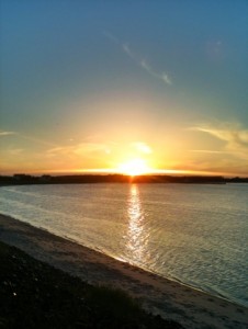 20110628-095252.jpg