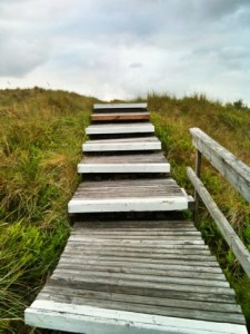 20110702-111043.jpg